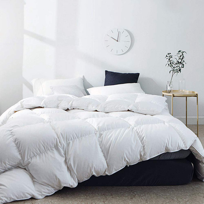 Alwyn Home Lightweight All Season Goose Down Comforter Reviews