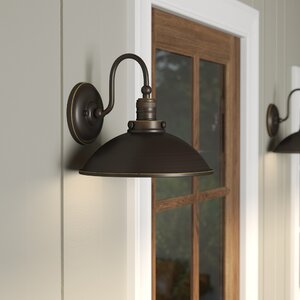 Fannie 1-Light Outdoor Barn Light