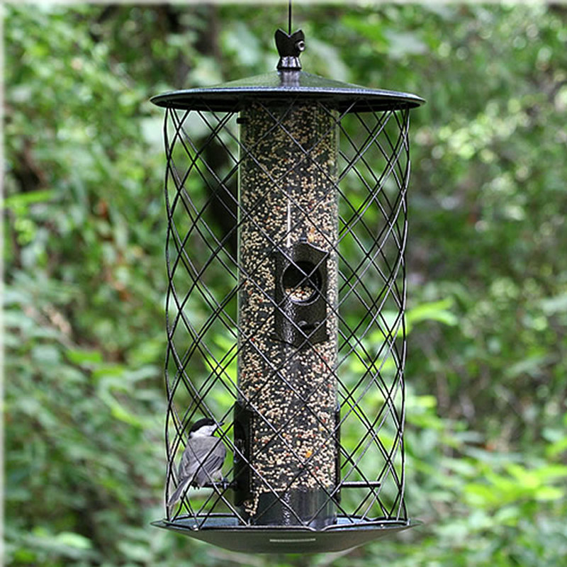 Birdscapes The Preserve Caged Tube Bird Feeder Reviews Wayfair