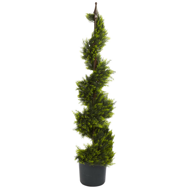 Darby Home Co Cypress Spiral Topiary With Pot Reviews Wayfair
