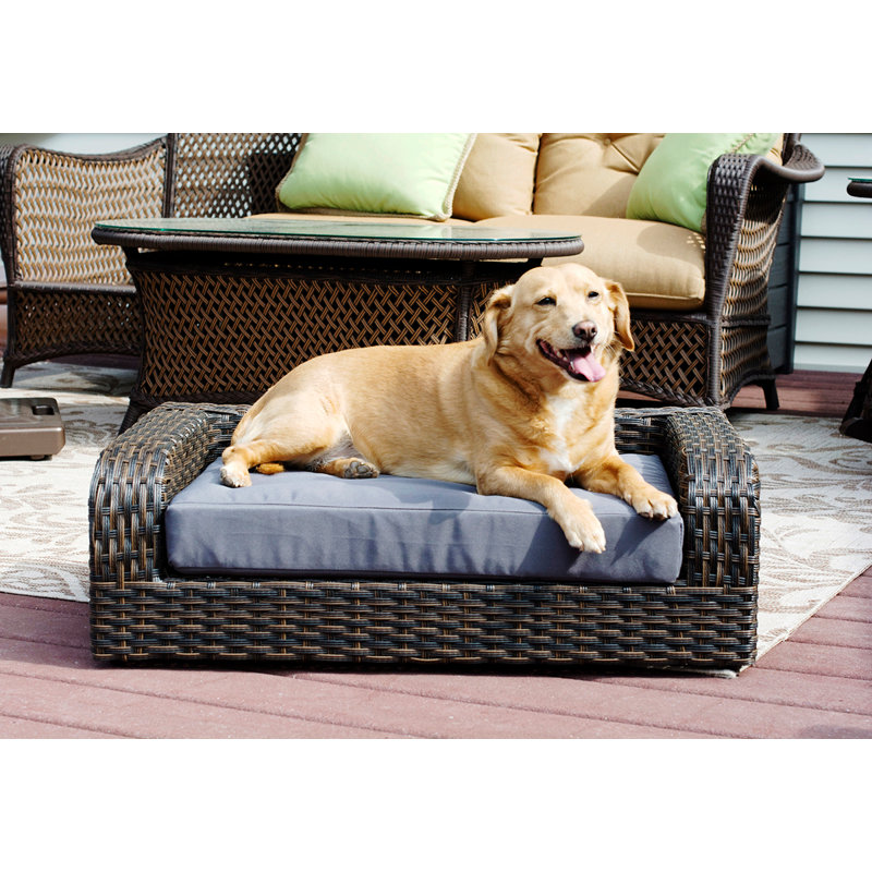 wicker dog sofa