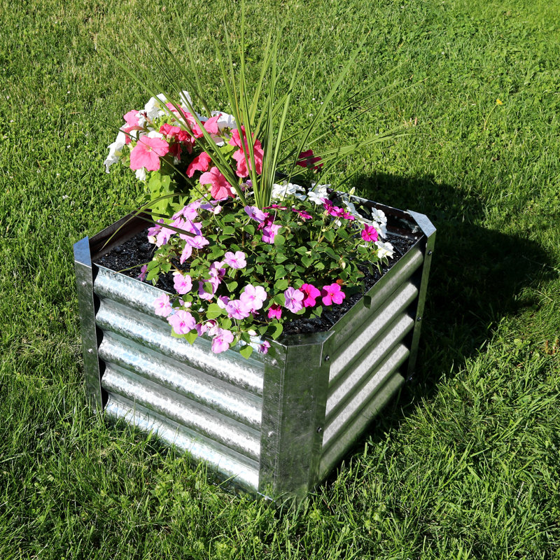 Williston Haight Square Galvanized Steel Planter Box