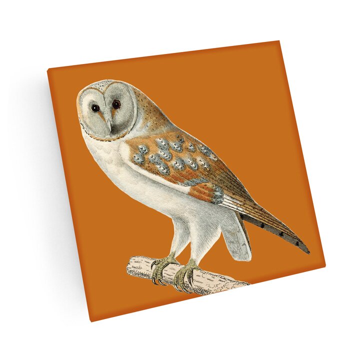 Rustic Home Decor Barn Owl Natural Wood Slice Coaster set of 4 