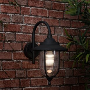 Springvale 1 Light Outdoor Wall Lantern By Breakwater Bay
