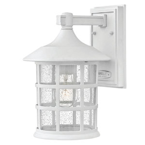 Carlsen 1-Light Outdoor Wall Sconce