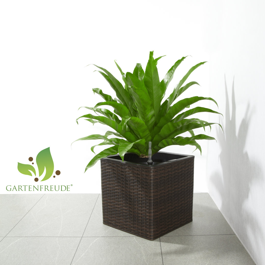 Plastic Planter Box