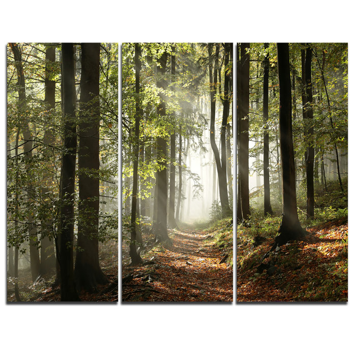 Green Fall Forest With Sun Rays 3 Piece Photographic Print On Wrapped Canvas Set