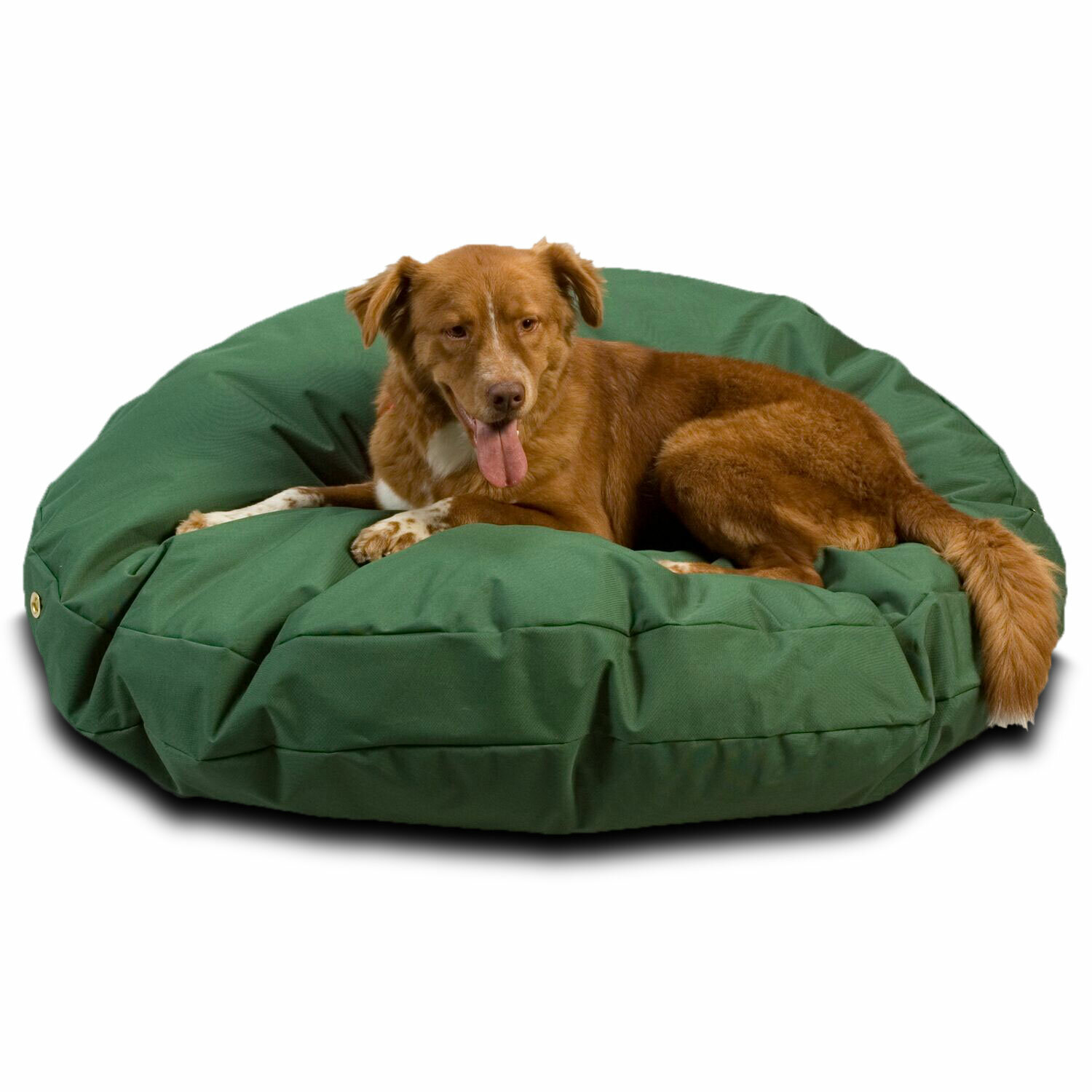 snoozer pet bed