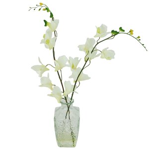 Orchids Floral Arrangements in Decorative Vase