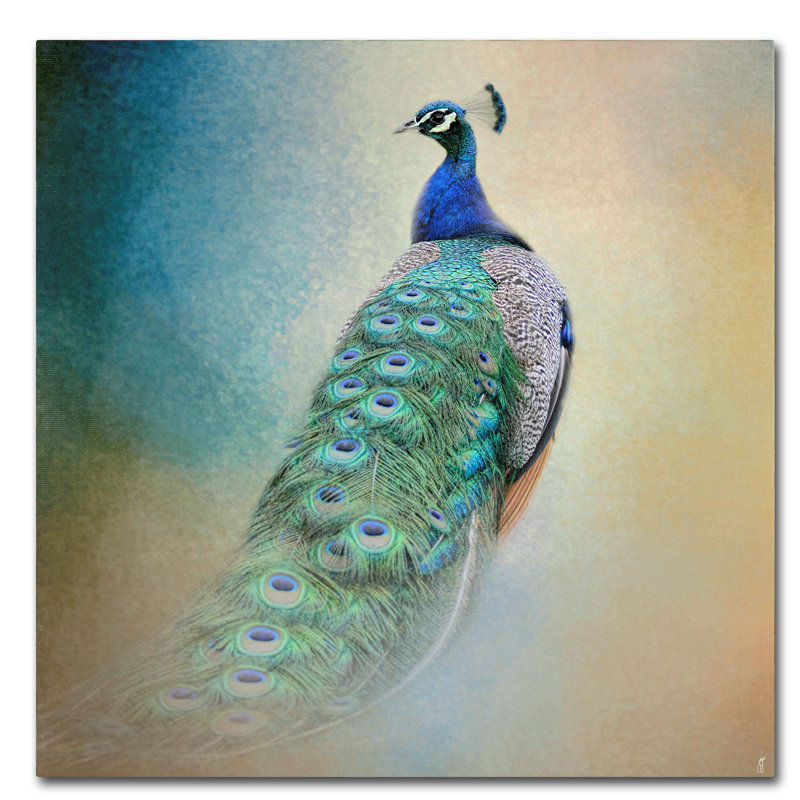 Trademark Art Peacock 4 Graphic Art Print On Wrapped Canvas Reviews Wayfair