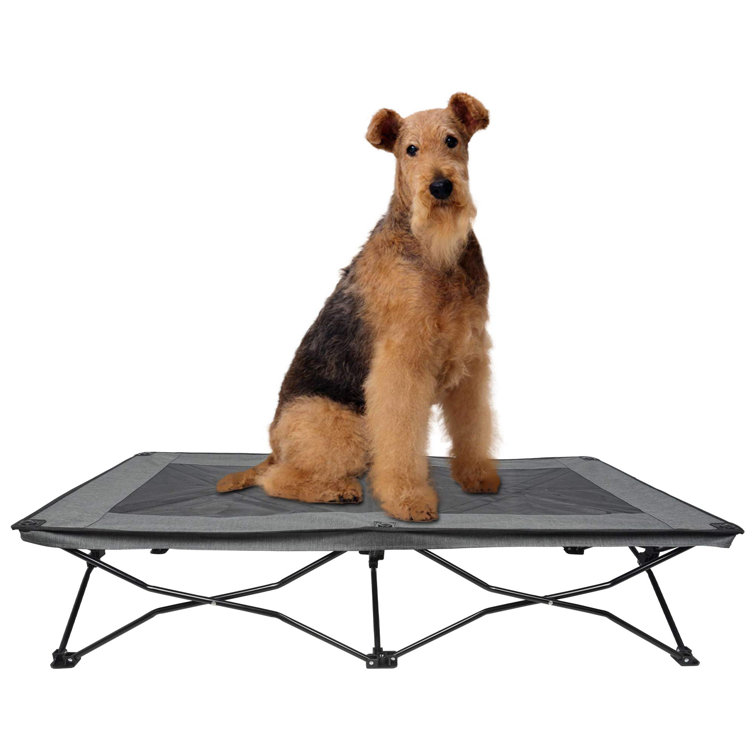elevated folding dog bed