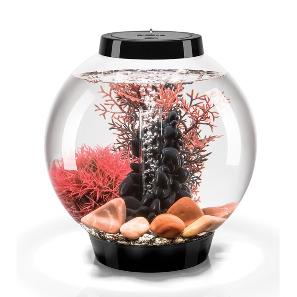 BiOrb Classic 4 Gallon Round Fish Bowl | Wayfair.ca