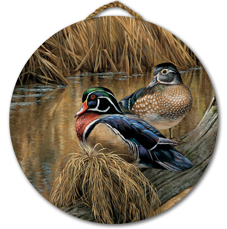 Wgi Gallery Back Waters Wood Duck Painting Print On Wood Wayfair