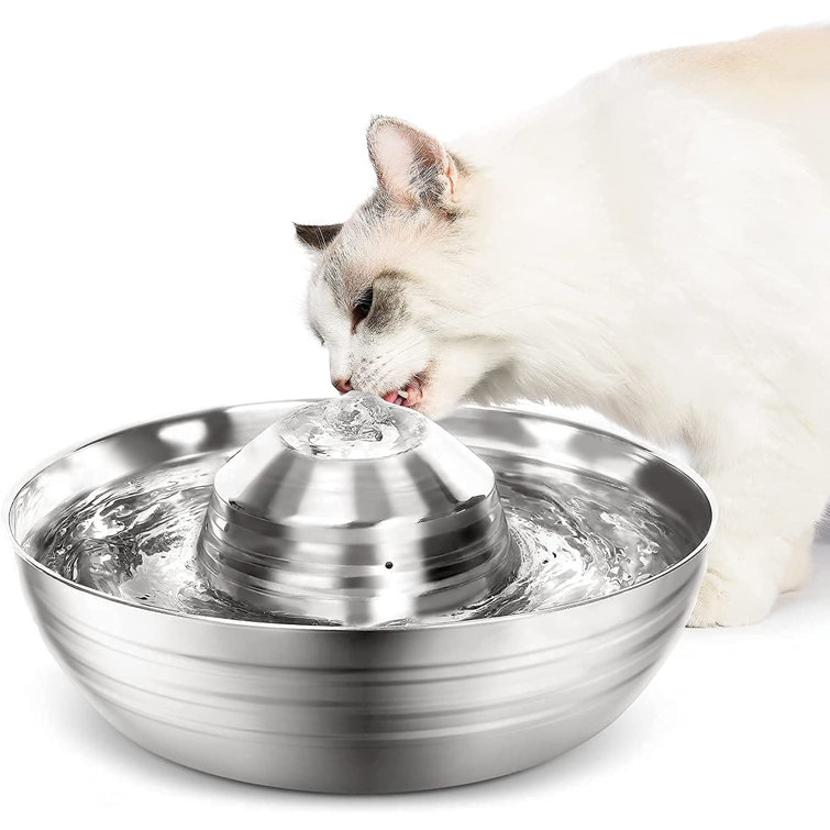 drinking fountain pet
