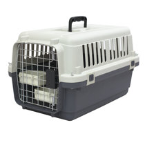 medium plastic dog crate