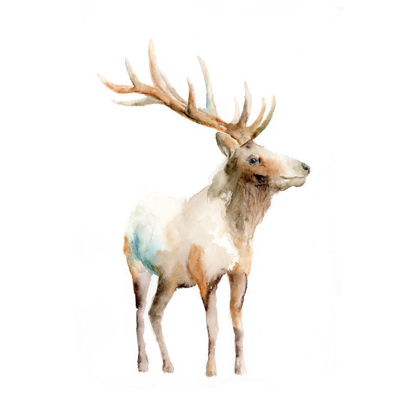 Union Rustic Empathetic Elk Watercolor Painting Print Wayfair