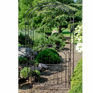 Mayon Steel Gate Arch By ClassicLiving