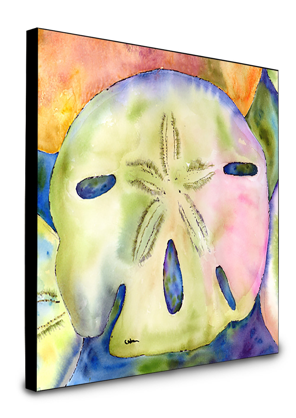 Harriet Bee Gisella Sand Dollar Artwork Wall Panel Wayfair