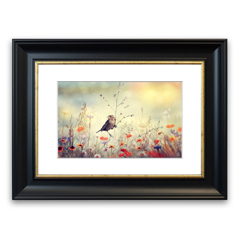 Urban paradise essay image