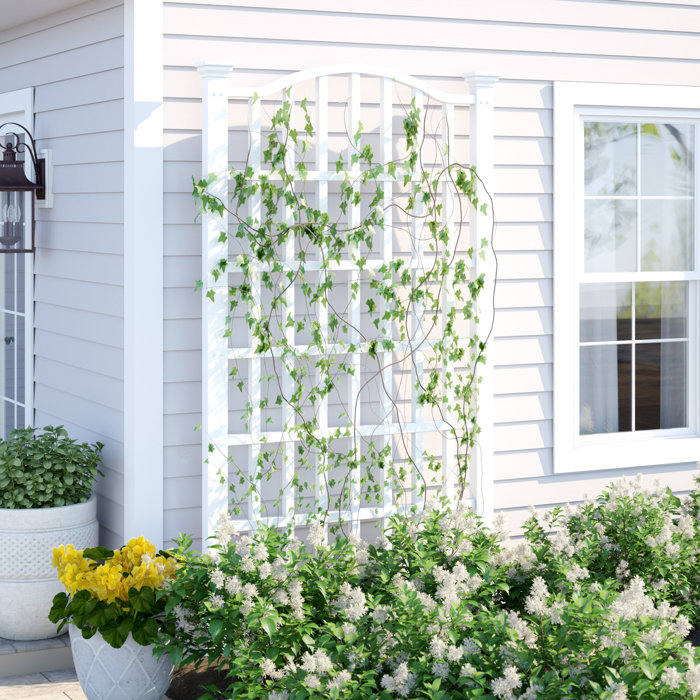Sol 72 Outdoor Ansonia Vinyl Lattice Panel Trellis Reviews Wayfair