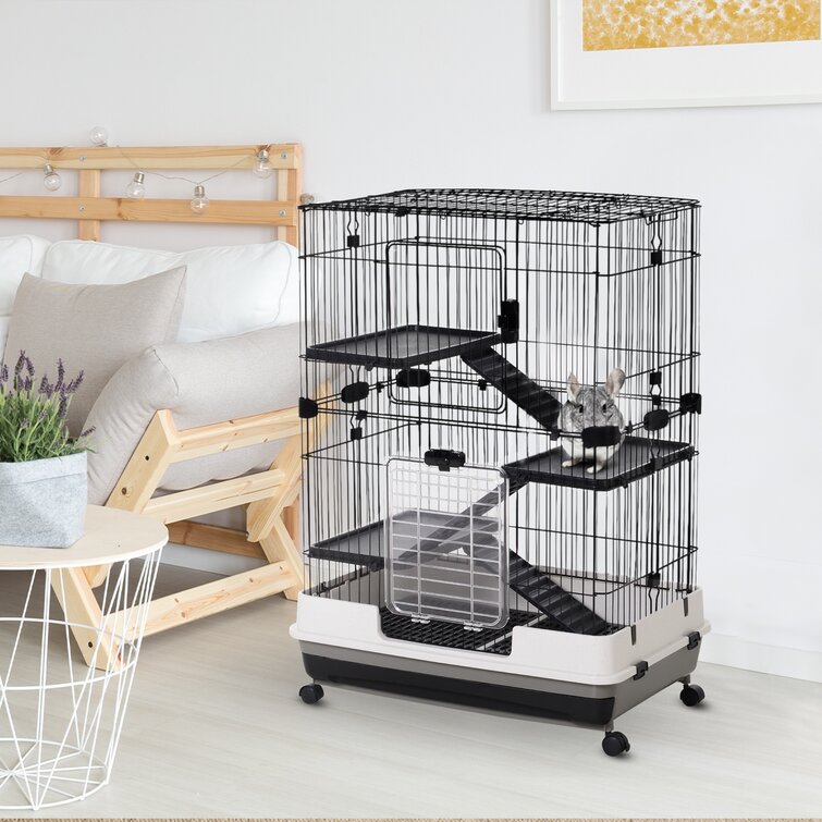 Archie & Oscar Nickolas Cage with Ramp & Reviews | Wayfair.co.uk