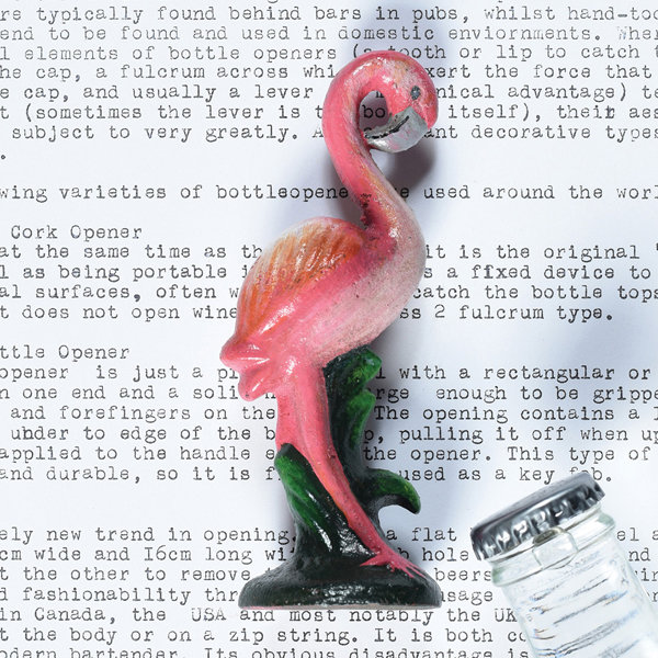 Bayou Breeze Charandeep Flamingo Bottle 