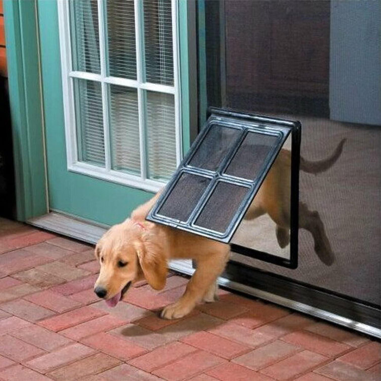 cat dog door