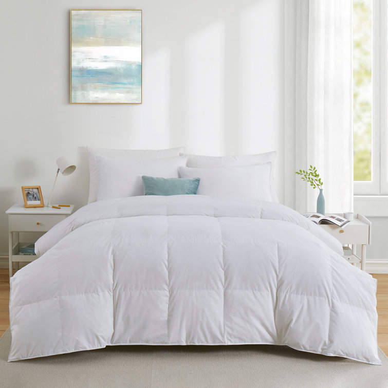 %C3%89dredon+en+duvet+blanc+toutes+saiso