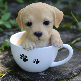 teacup puppy in a teacup