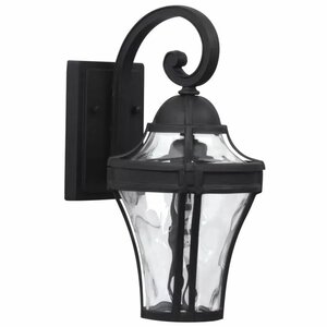 Oakhill Traditional Clear 1-Light Outdoor Wall Lantern