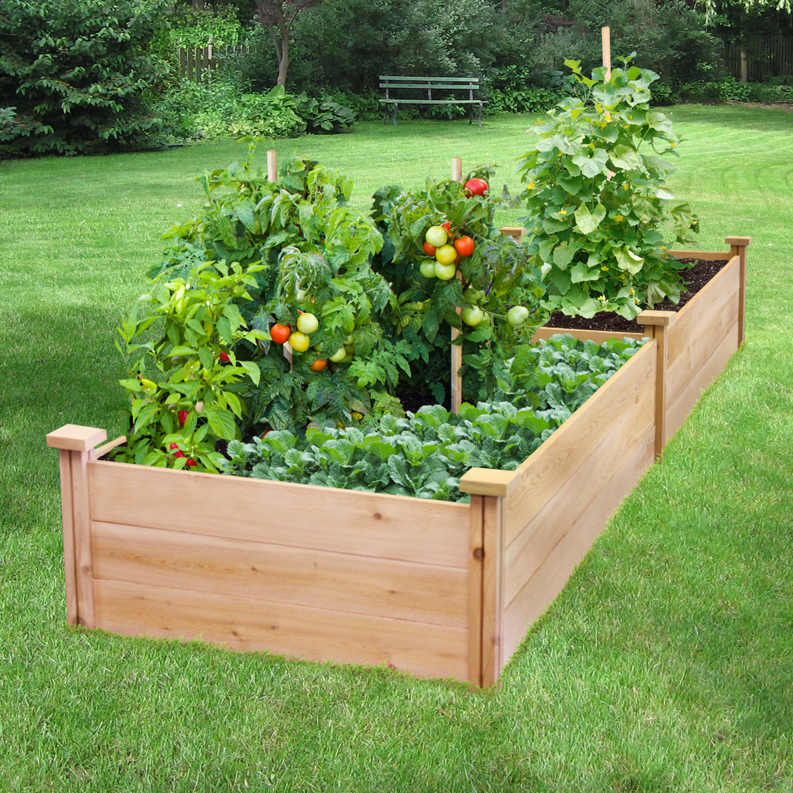 Freeport Park Gabler 2 Ft X 8 Ft Cedar Wood Raised Garden Reviews