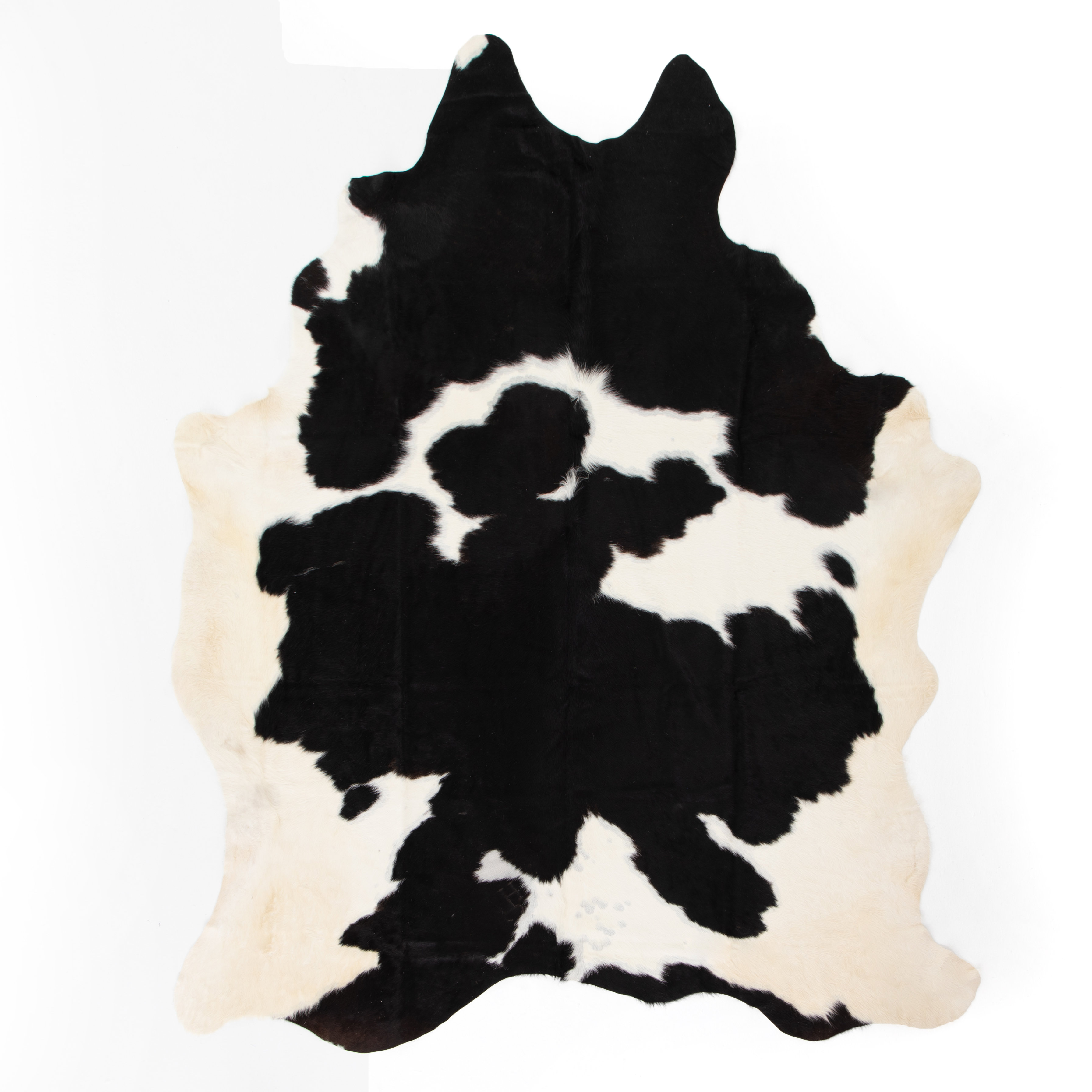 Animal Print Handmade Cowhide Black Ivory Area Rug Allmodern