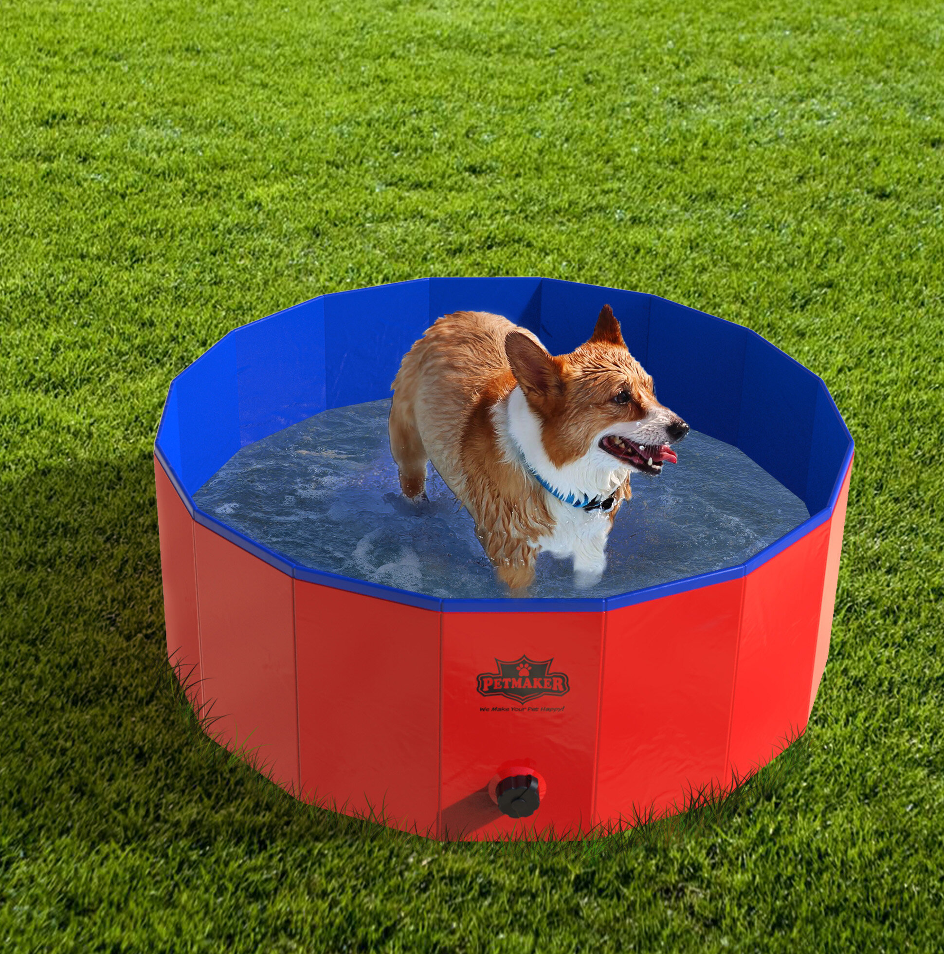 None Foldable Dog Bath Pool Bathing Tub Kiddie Pool for Dogs Cats
