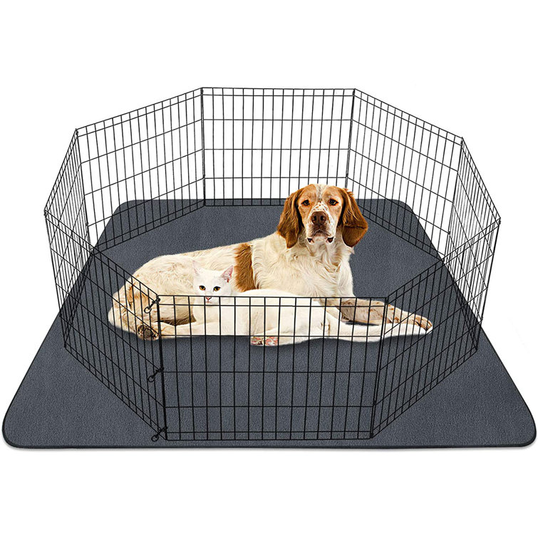 kitten playpen petco