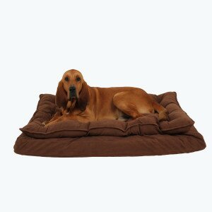 Luxury Pillow Top Mattress Pet Bed in Caramel