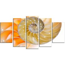 Nautilus Shell Wall Art Wayfair