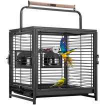 large parrot carrier