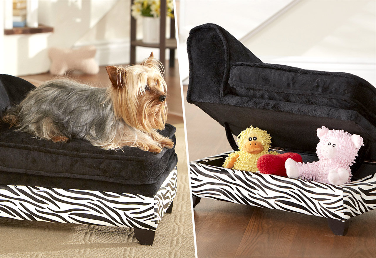 [BIG SALE] Pet Solutions with Plenty of Style You’ll Love In 2022 Wayfair