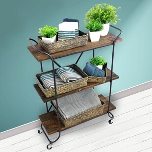 Narrow Rolling Pantry Shelves Wayfair