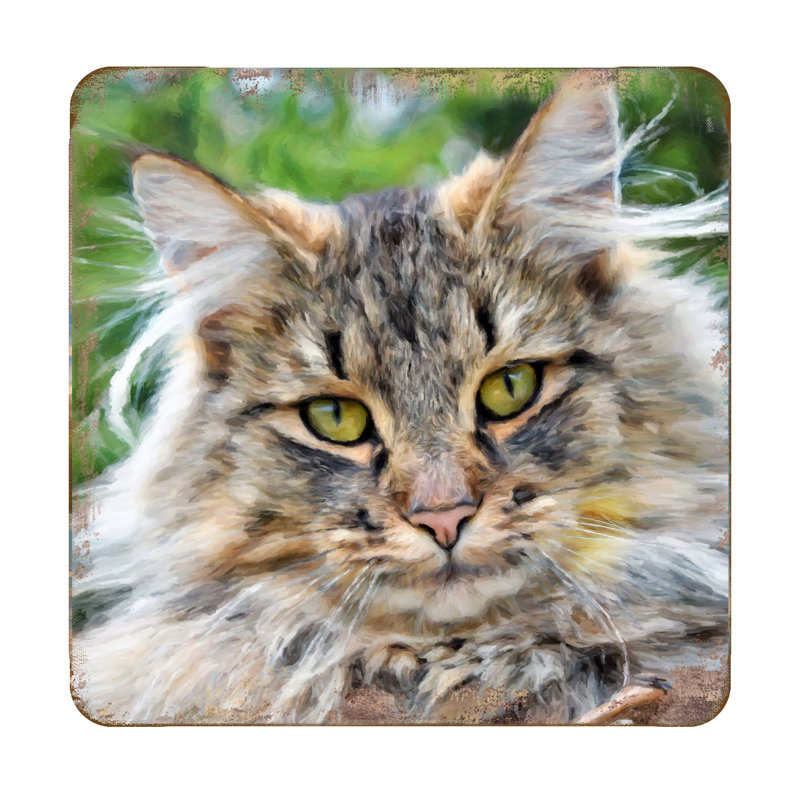 cat coaster set