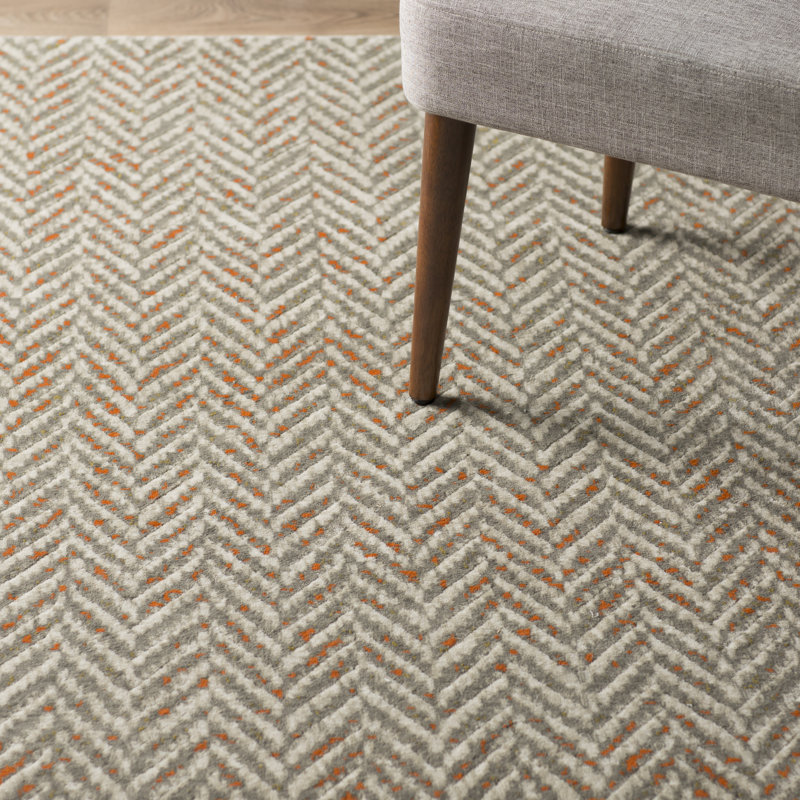 Langley Street Burroughs Light Gray Burnt Orange Area Rug Reviews Burroughs Light Gray Burnt Orange Area Rug
