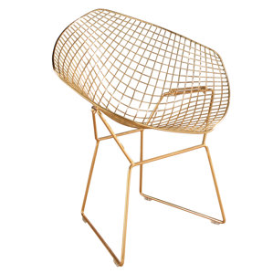Brucie Iron Papasan Chair by Willa Arl..