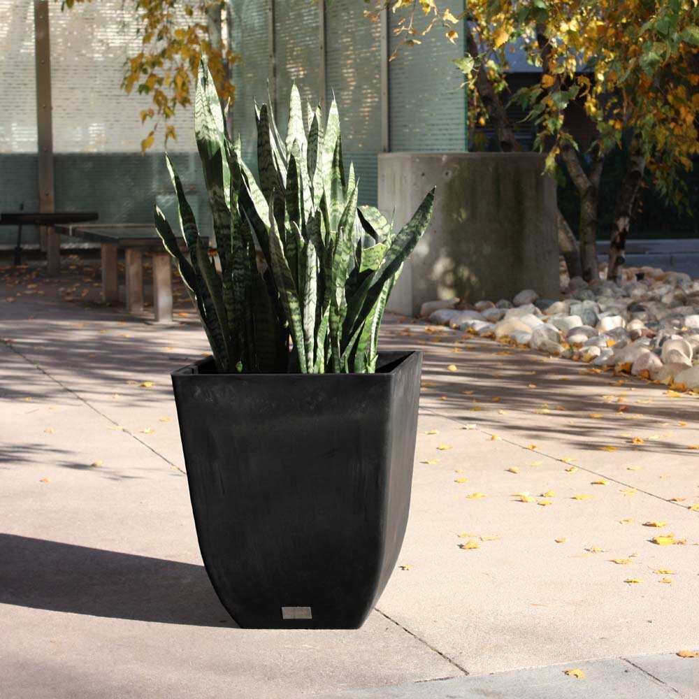 Veradek Pure Series Plastic Pot Planter & Reviews | Wayfair