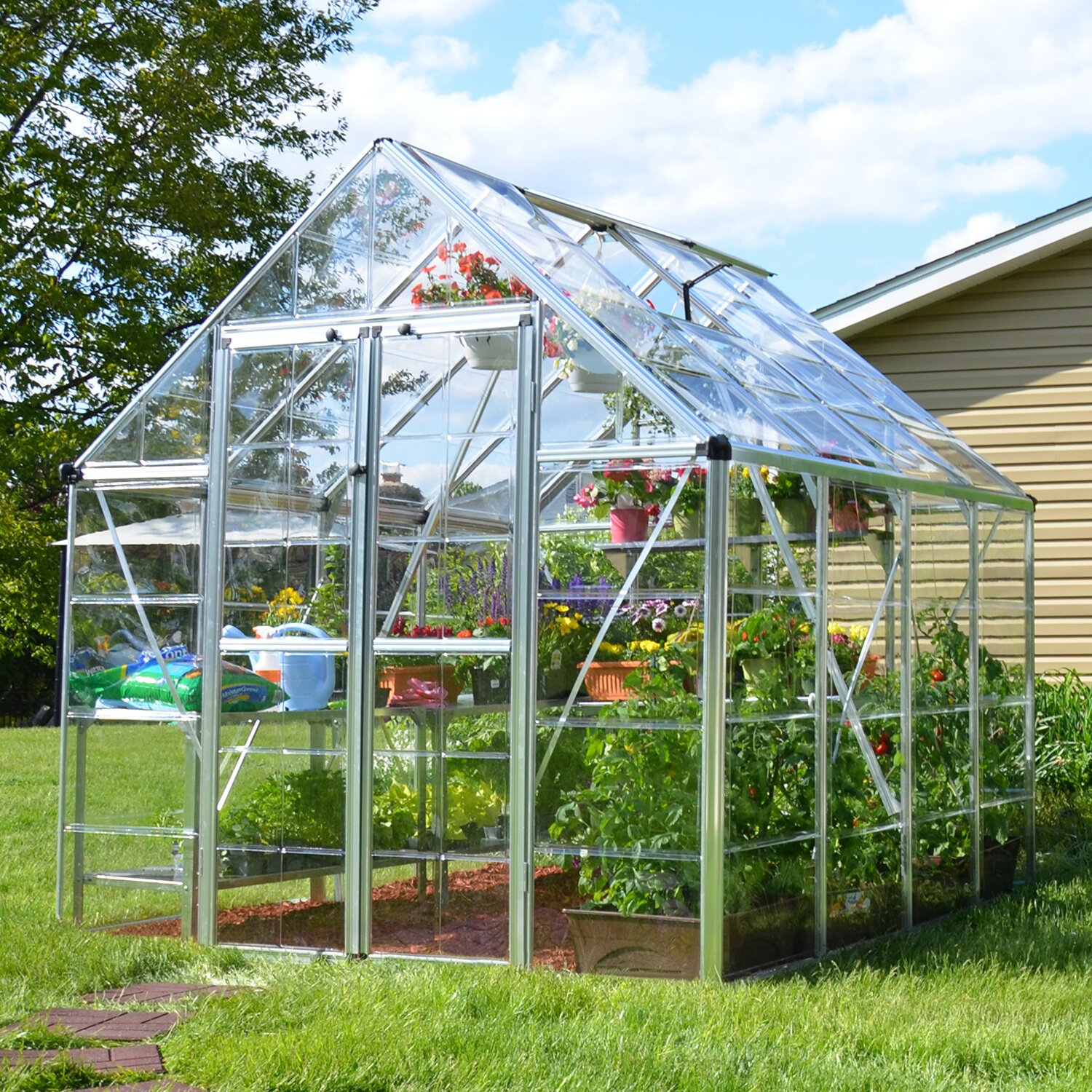 Palram Snap Grow 8 Ft W X 8 Ft D Greenhouse Reviews Wayfair