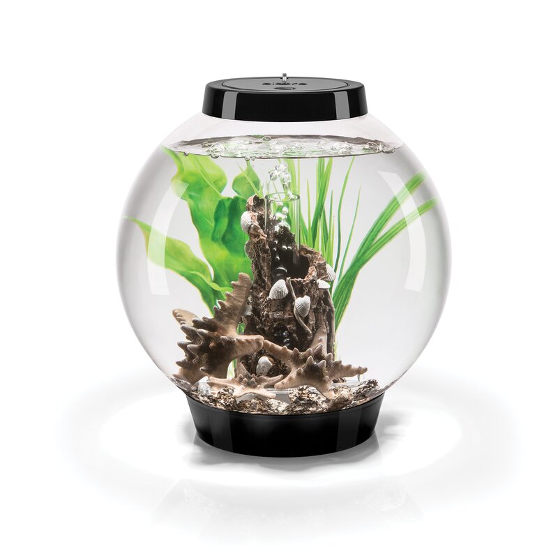 biOrb 4 Gallon Round Fish Bowl | Wayfair