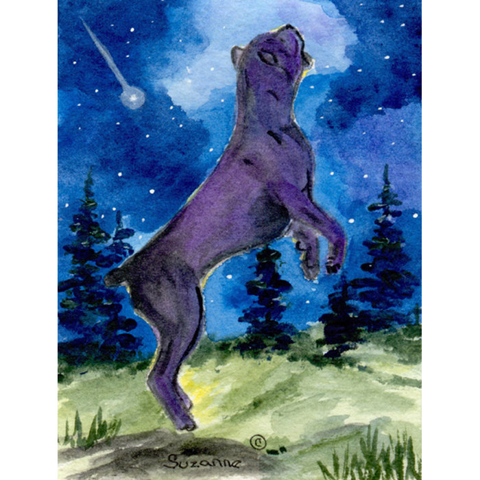 Cane Corso 34 H X 24 W House Flag