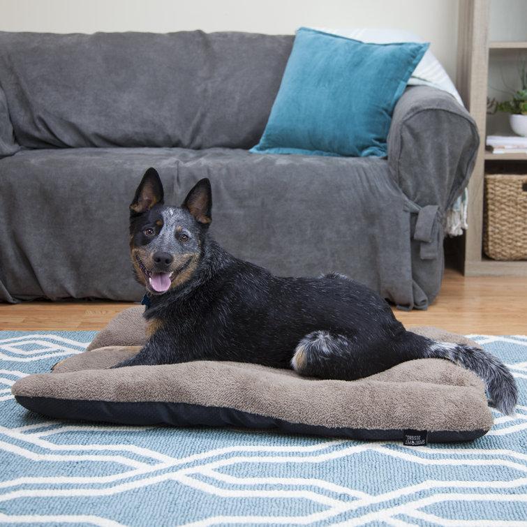 biggest dog beds