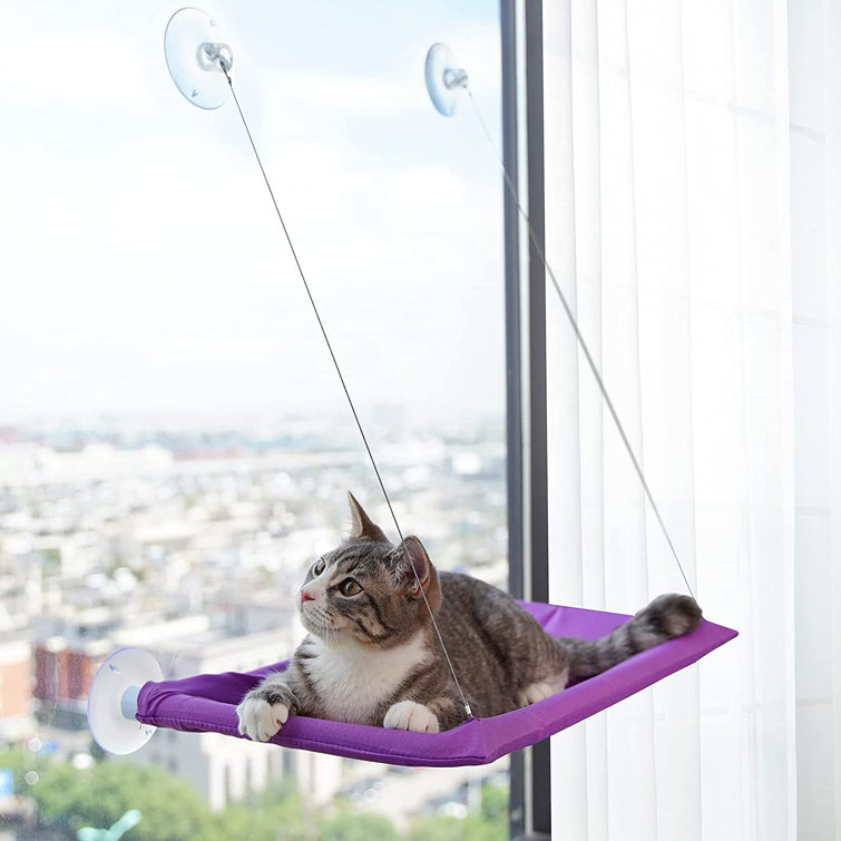 outdoor cat hammock