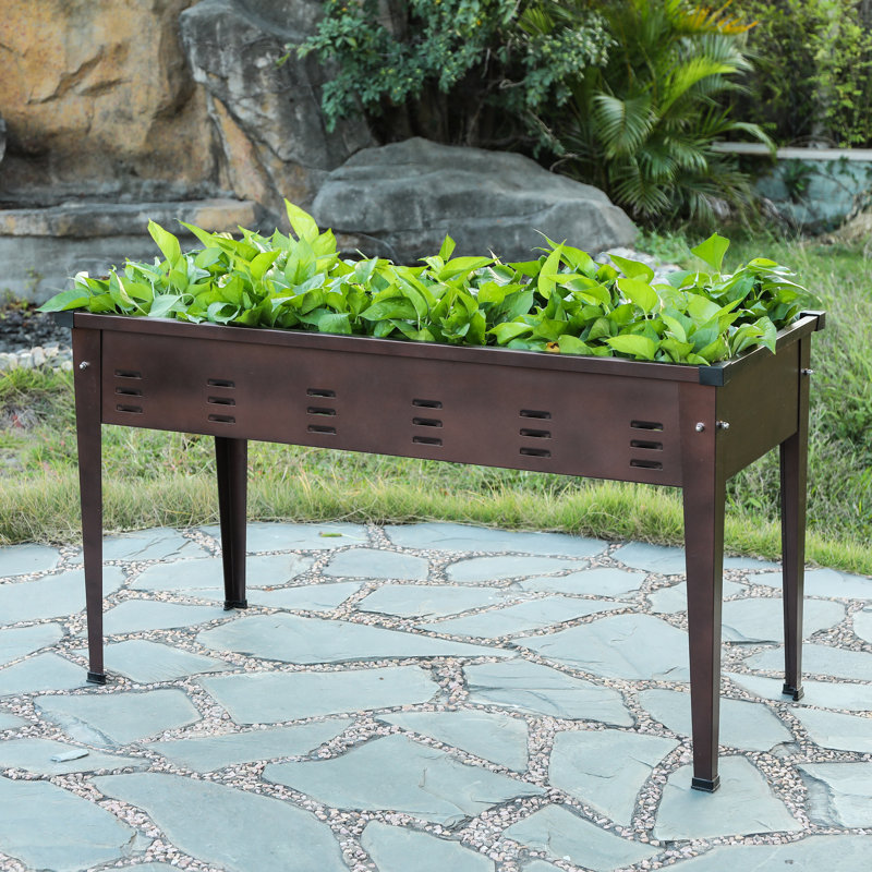 Williston Forge Malm Rectangular 3.15 ft x 1.5 ft ...