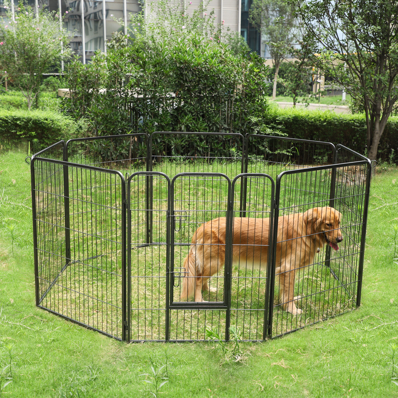 dog exercise fence